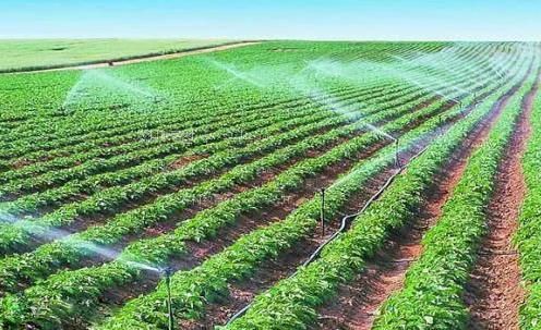 有没有大鸡巴日逼片农田高 效节水灌溉
